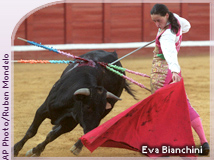 Bullfighting