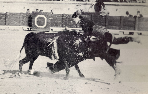 Conchita Cintrón getting caught by a bull