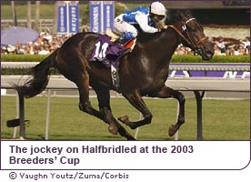 Julie Krone on Halfbridled at the 2003 Breeders Cup