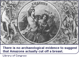 There is no archaeological evidence to suggest that Amazons actually cut off a breast.