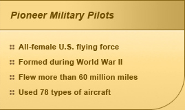 Pioneer Military Pilots